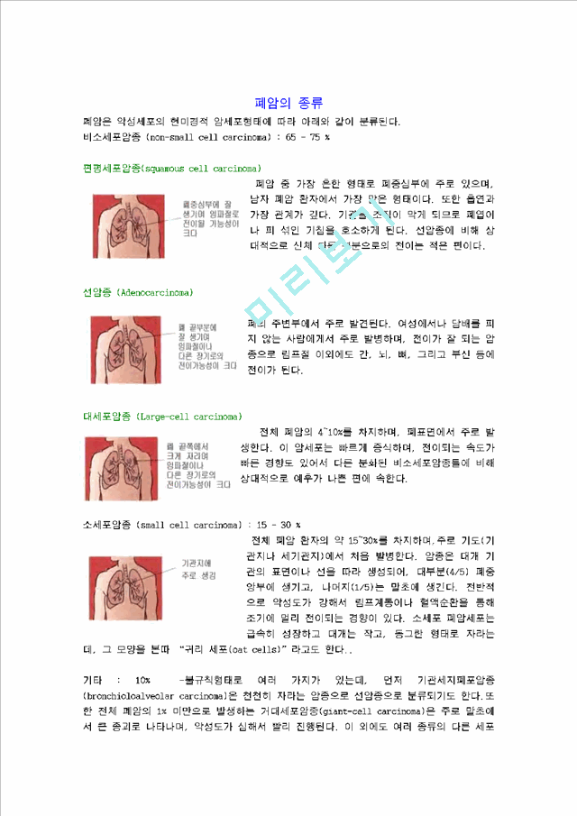 폐암과 흡연   (2 페이지)